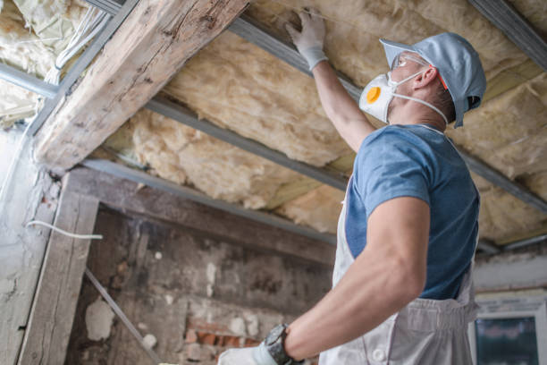Types of Insulation We Offer in Tuckerman, AR