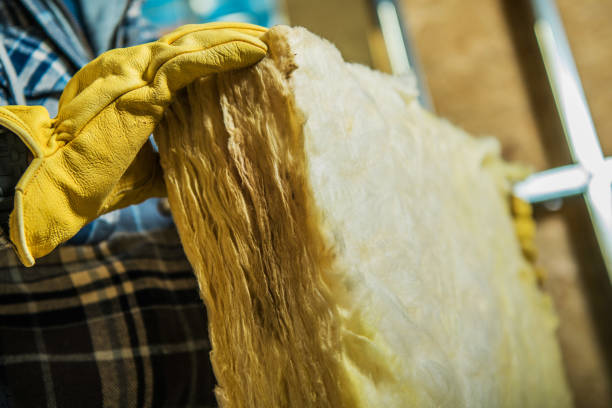 Best Spray Foam Insulation in Tuckerman, AR