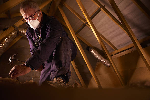 Best Residential Insulation in Tuckerman, AR